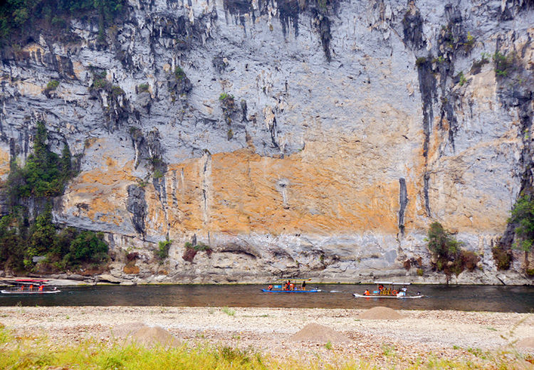 Fish on mountain face
