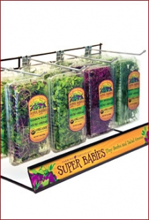 topurchasewholesalepageimage-215x317
