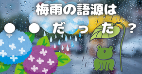 梅雨の語源は●●だった?