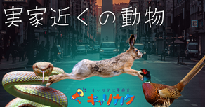実家近くの動物