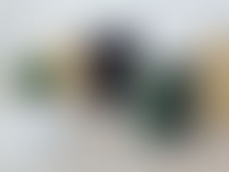 — Сяду на пенек, Съем пирожок!