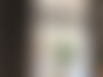 Джонатан Адлер