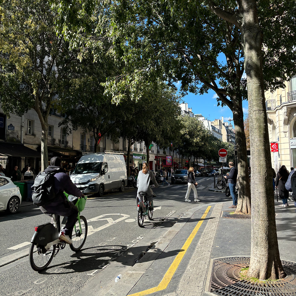 陽光下騎脚踏車的路人