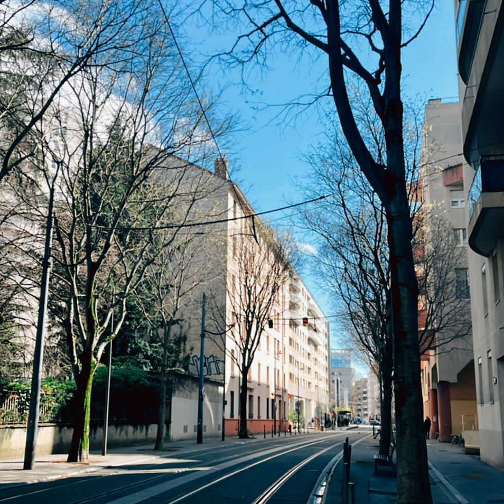 里昂街頭景色