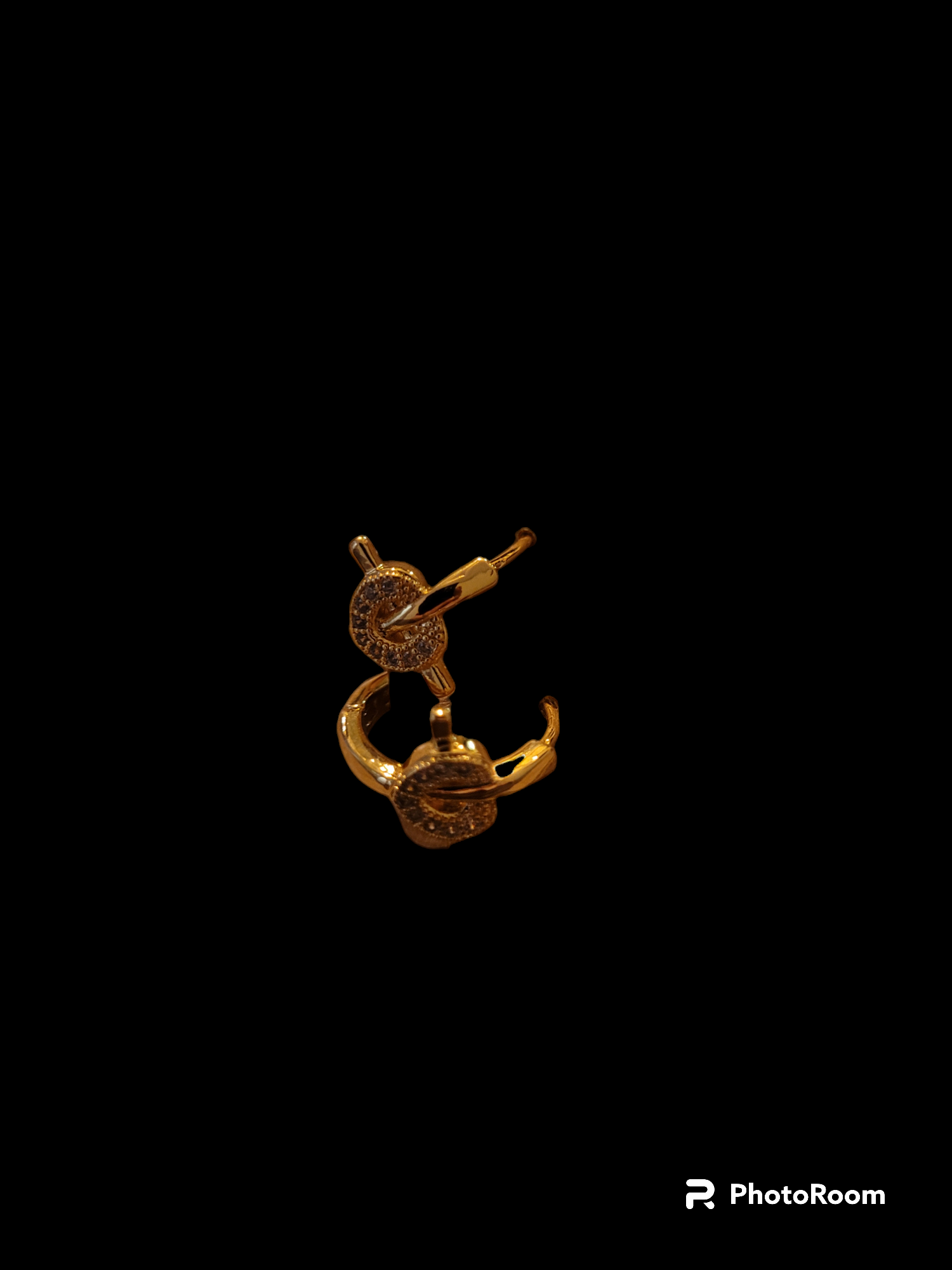 Boucle d'oreille stainless fer à cheval