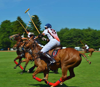 Greenwich Polo Experience - Megan Smith-Harris