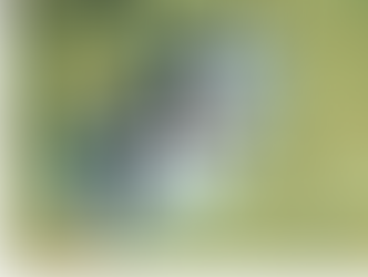 Devenez plongeur biologiste N1