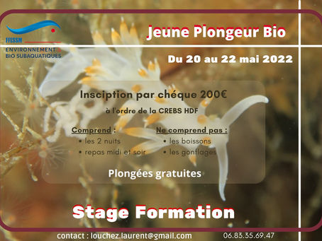 Stage Jeune Plongeur BIO