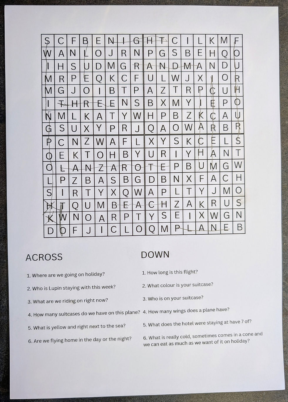 Activity word search for on the plane