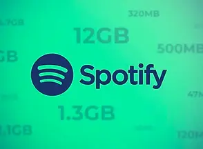 spotify_save_data.webp