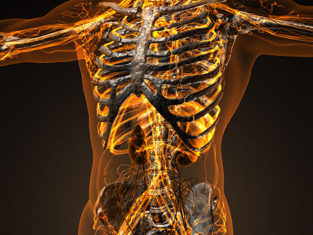 Harnessing Low-Frequency Heart Rate Variability for Enhanced Well-being Through Biofeedback Training