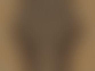 The Brain & Vagal Brake