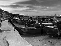 IMG_0503BW.jpg