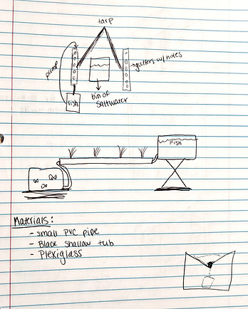 brainstorming-prototyping%20greenhouse_e