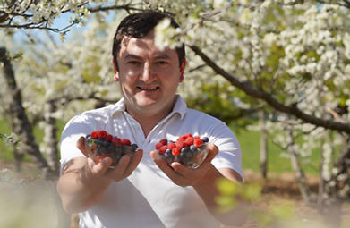 BOOMFRUITS