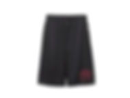 PE shorts 2_edited_edited.jpg