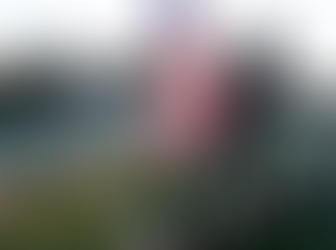 November 11: A Day of Peace, Courage, and Charity