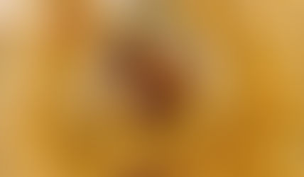 The Bright Light of the Holy Eucharist