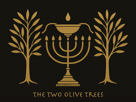 The Two Olive Trees and the Two Lampstands: The Mystery of the Two Witnesses
