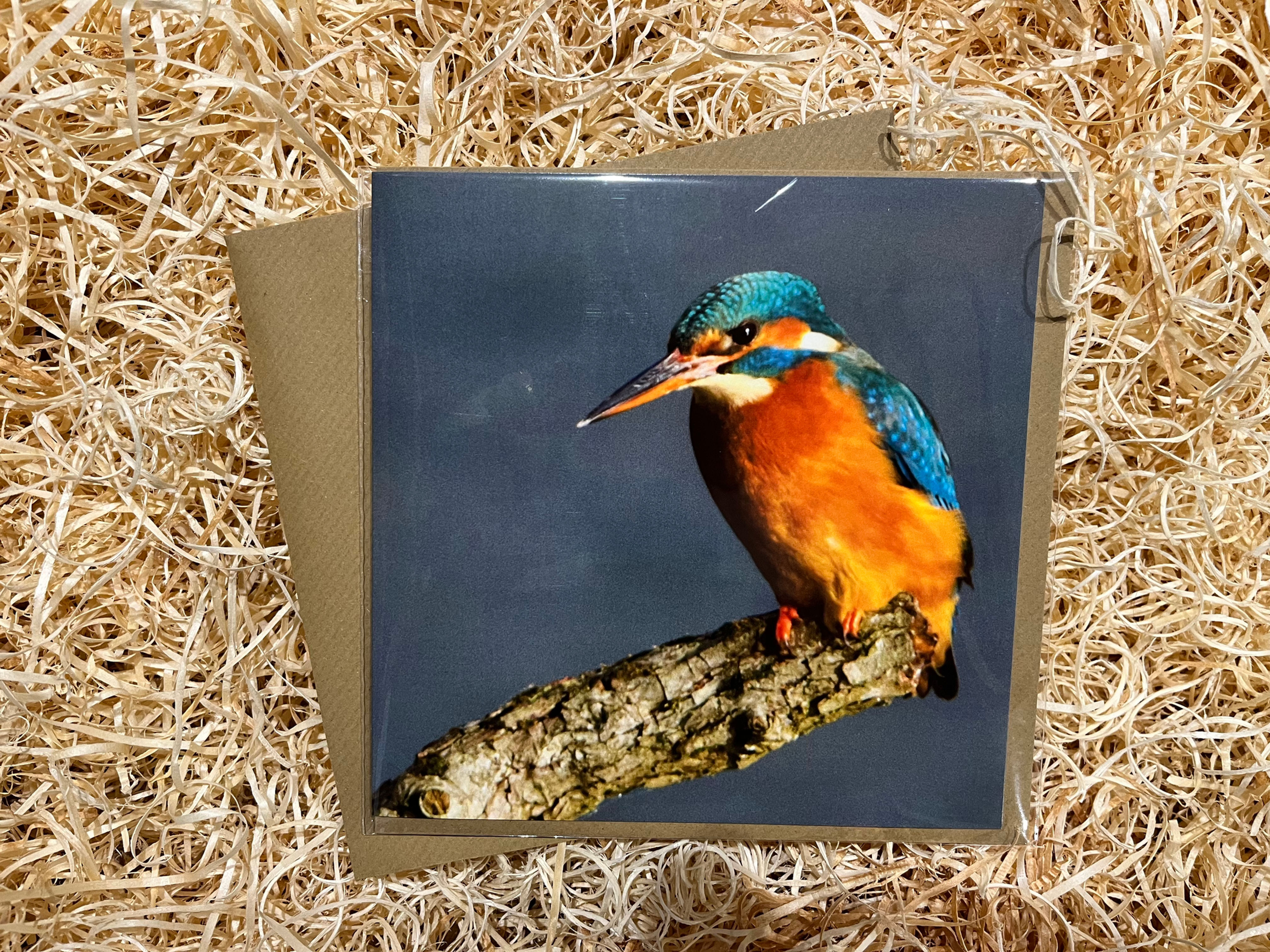 Kingfisher Greeting Card