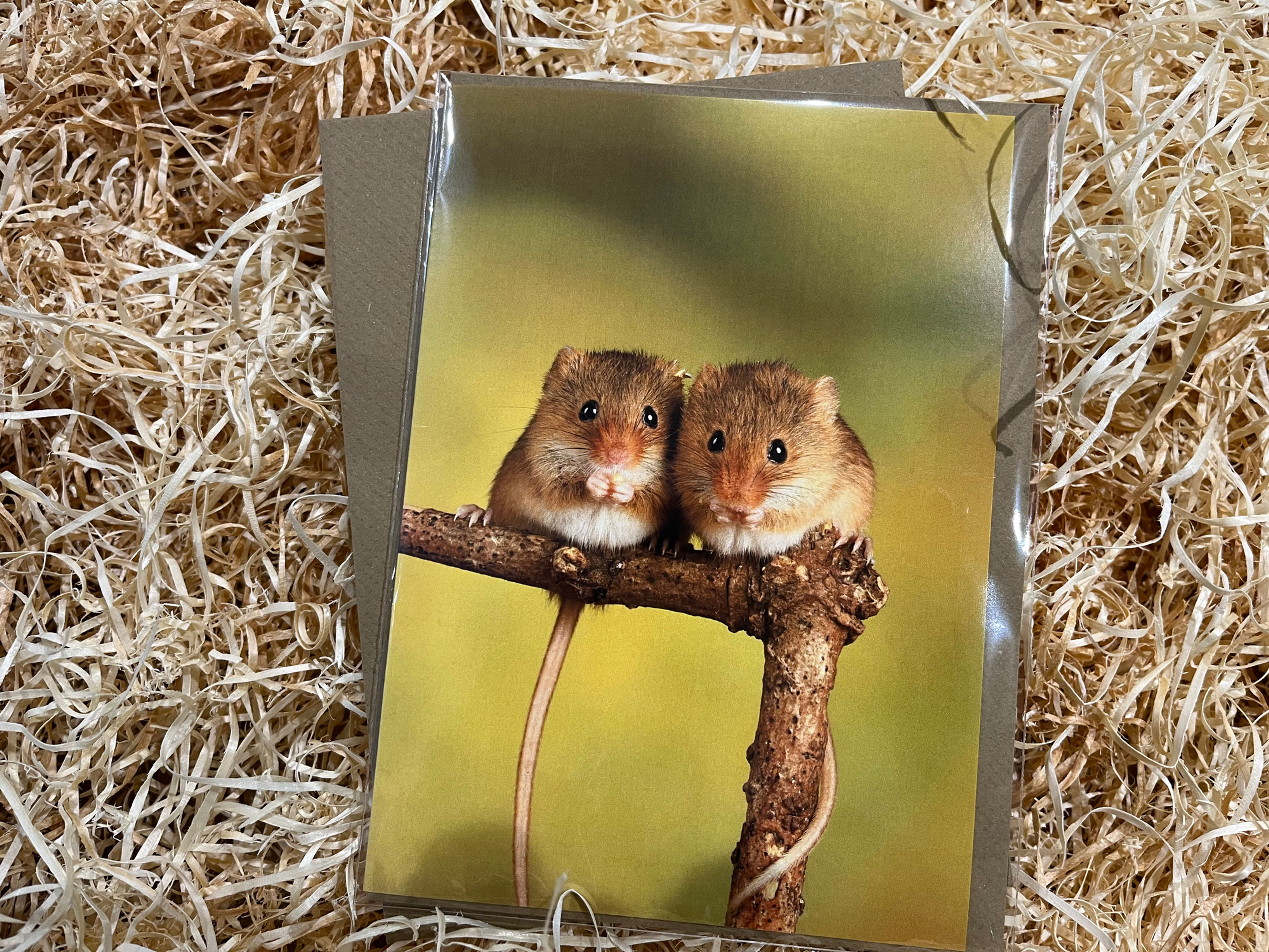 Just the Two of us !!