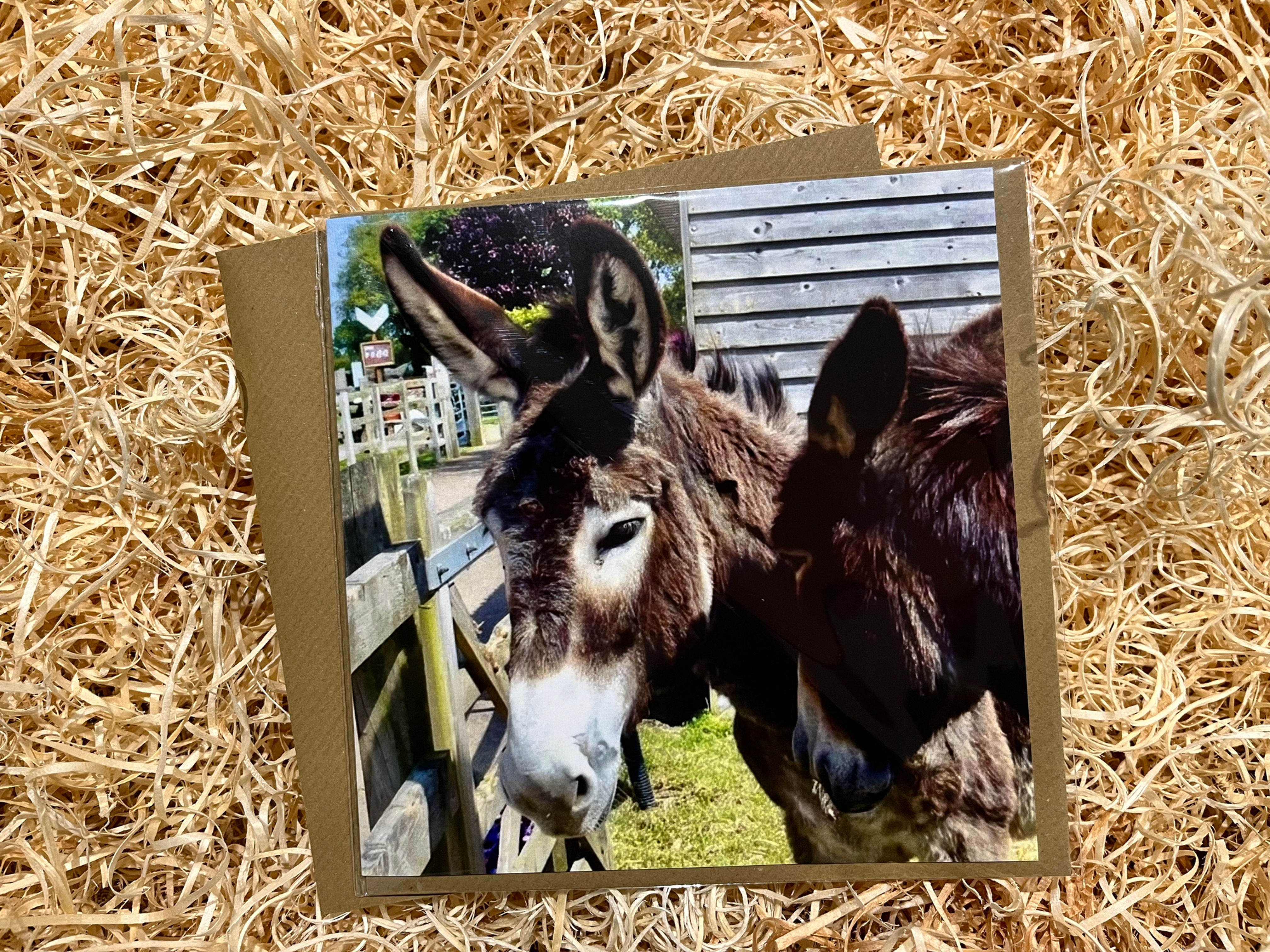 The Donkey Sanctuary