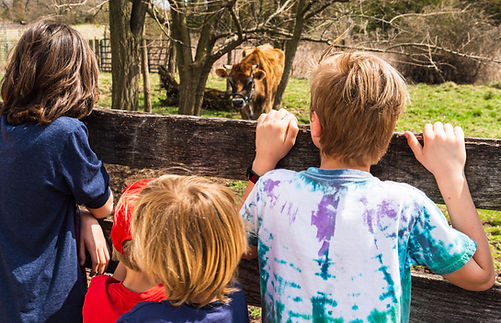 whittier blvd -4 (1) (1).jpg