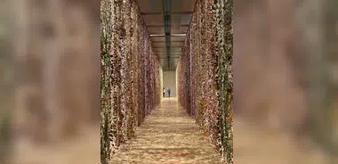 June 2023 Events in Fernandina Beach