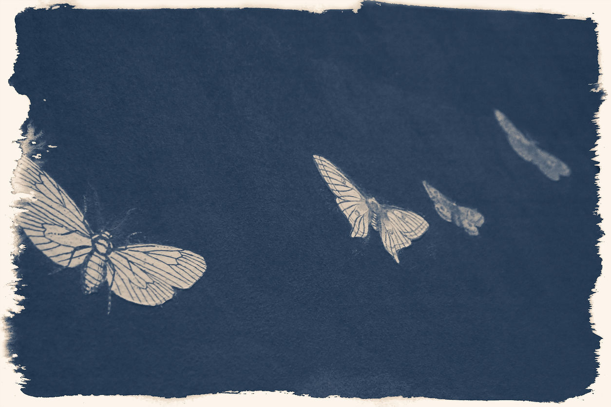 Ink Stains 10x10 by Layla Love18_Unique