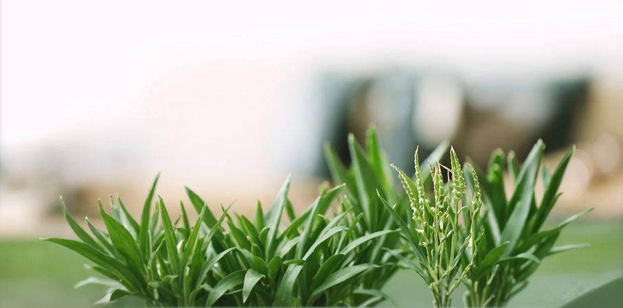 Screenshot 2025-02-09 at 2.48_edited.jpg