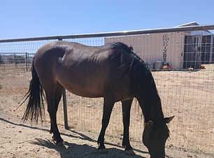 20260603_103501.jpg
