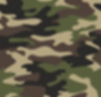 Camo_edited.jpg