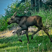 C3207F76-DF86-4490-9973-B221C1CCD1A3_1_201_a.jpeg