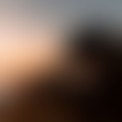 REFUGIO BAJO LAS ALAS DEL SEÑOR