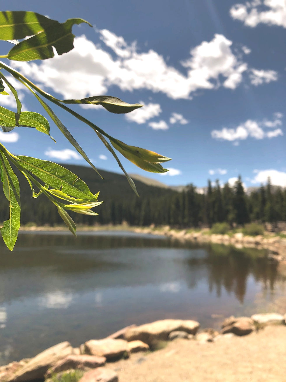 Morning Devotions - 04/06/21