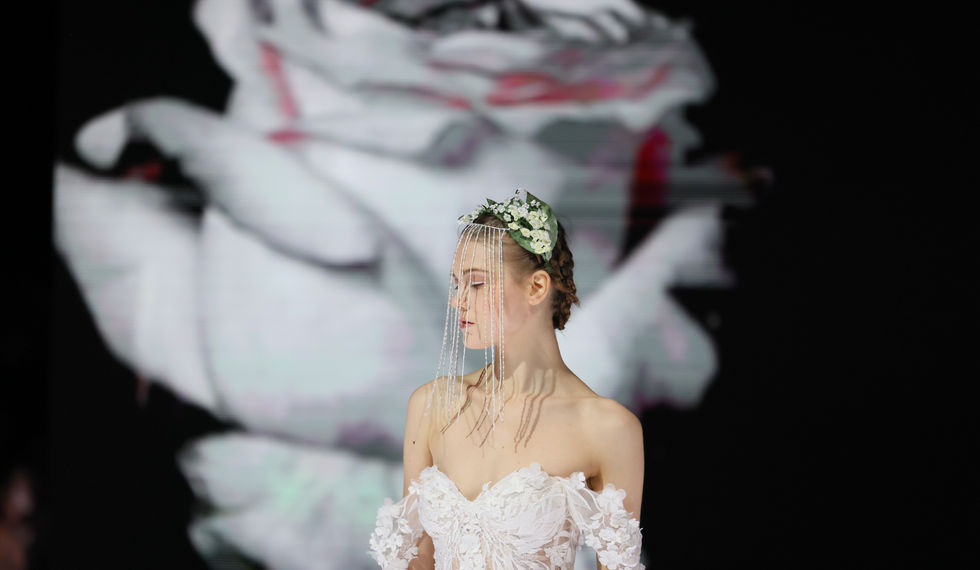 Hanami Waves (Centrestage 2022)