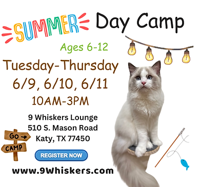 Summer Camp 6-9.png