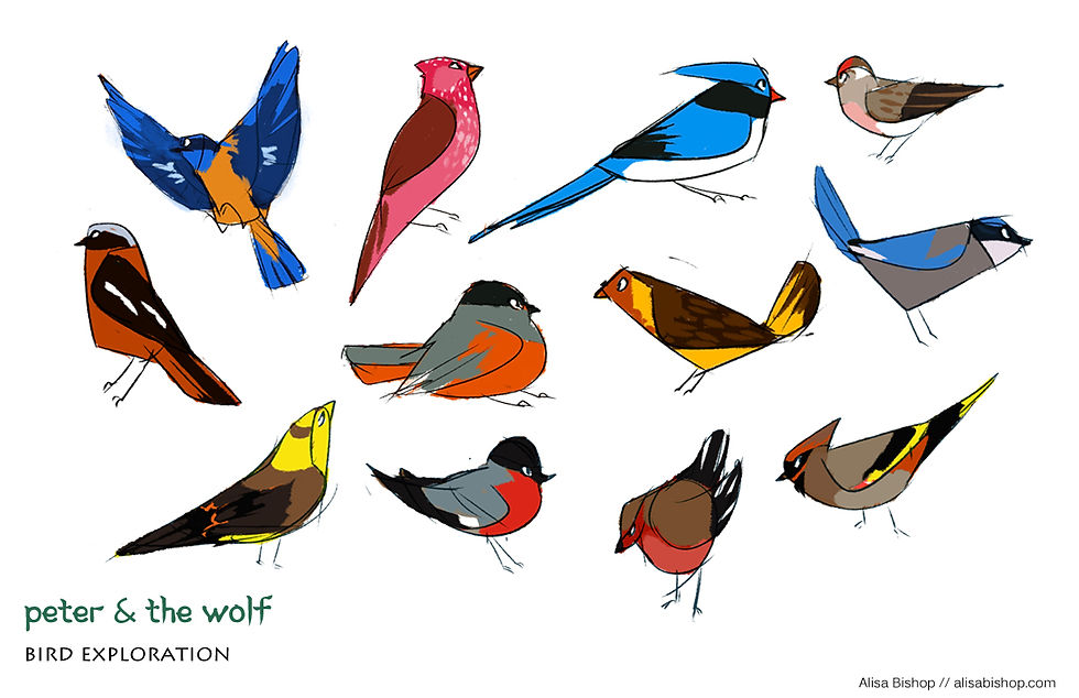 Bird Exploration