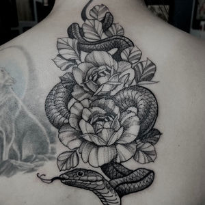 Snake, flowers, illustration, 