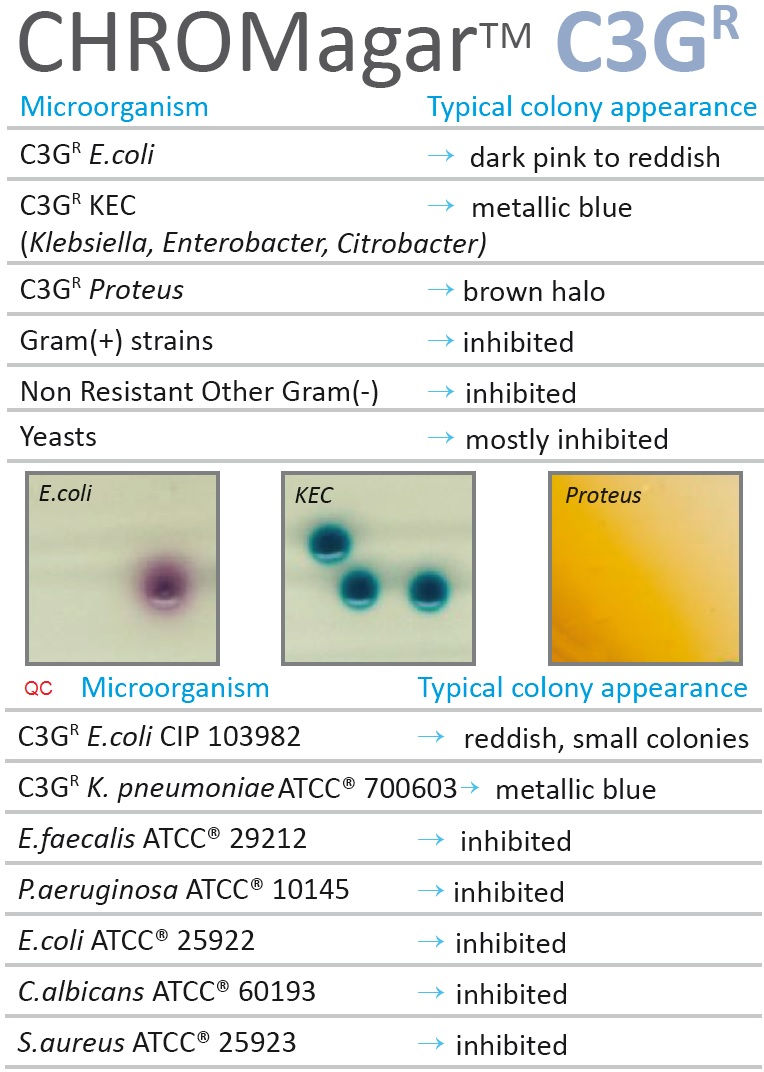 C3GR