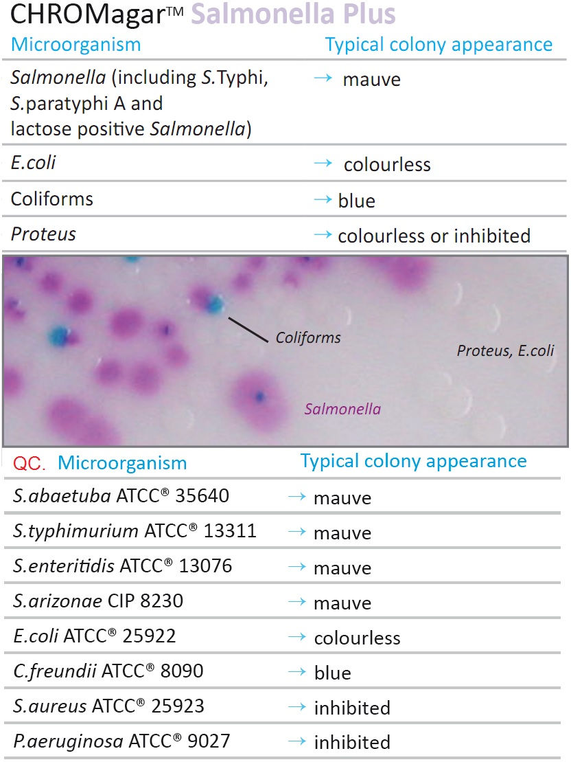 Salmonella plus