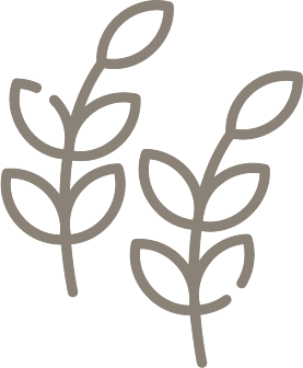 Asset 28.png