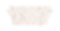 für banner 1_1.png