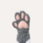 Thumbnail: Borzoi