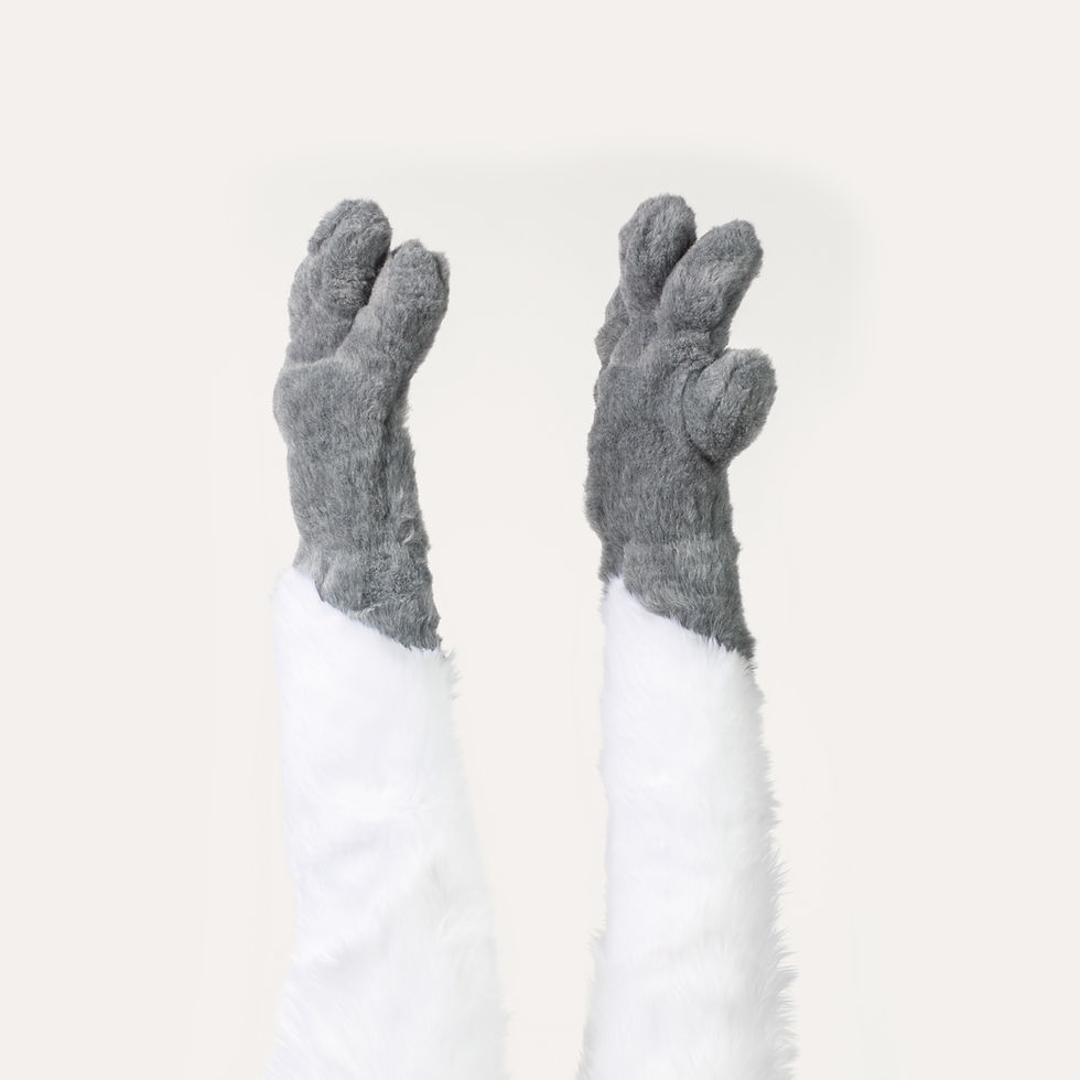 Thumbnail: Borzoi