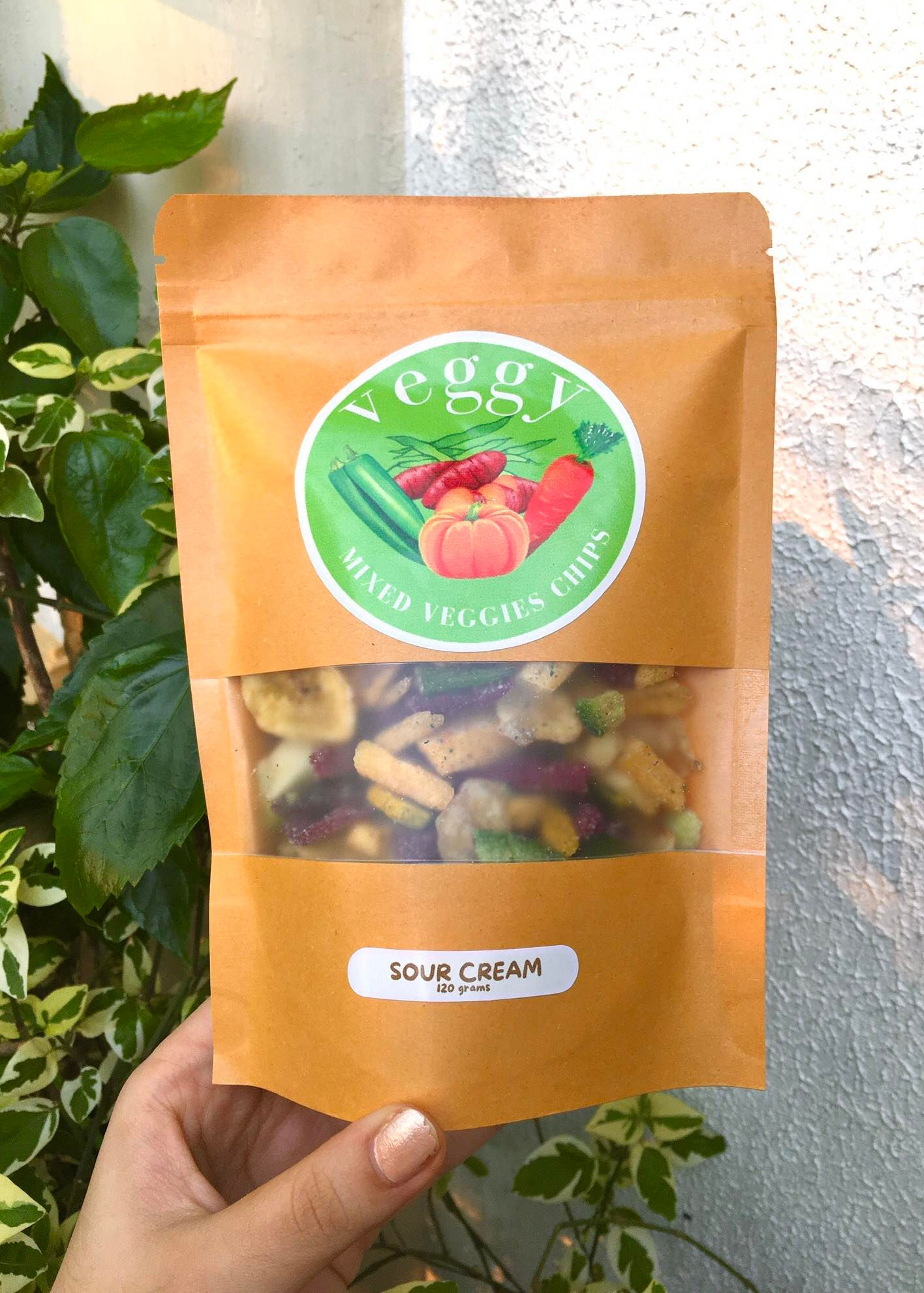 SOUR CREAM VEGGY CHIPS