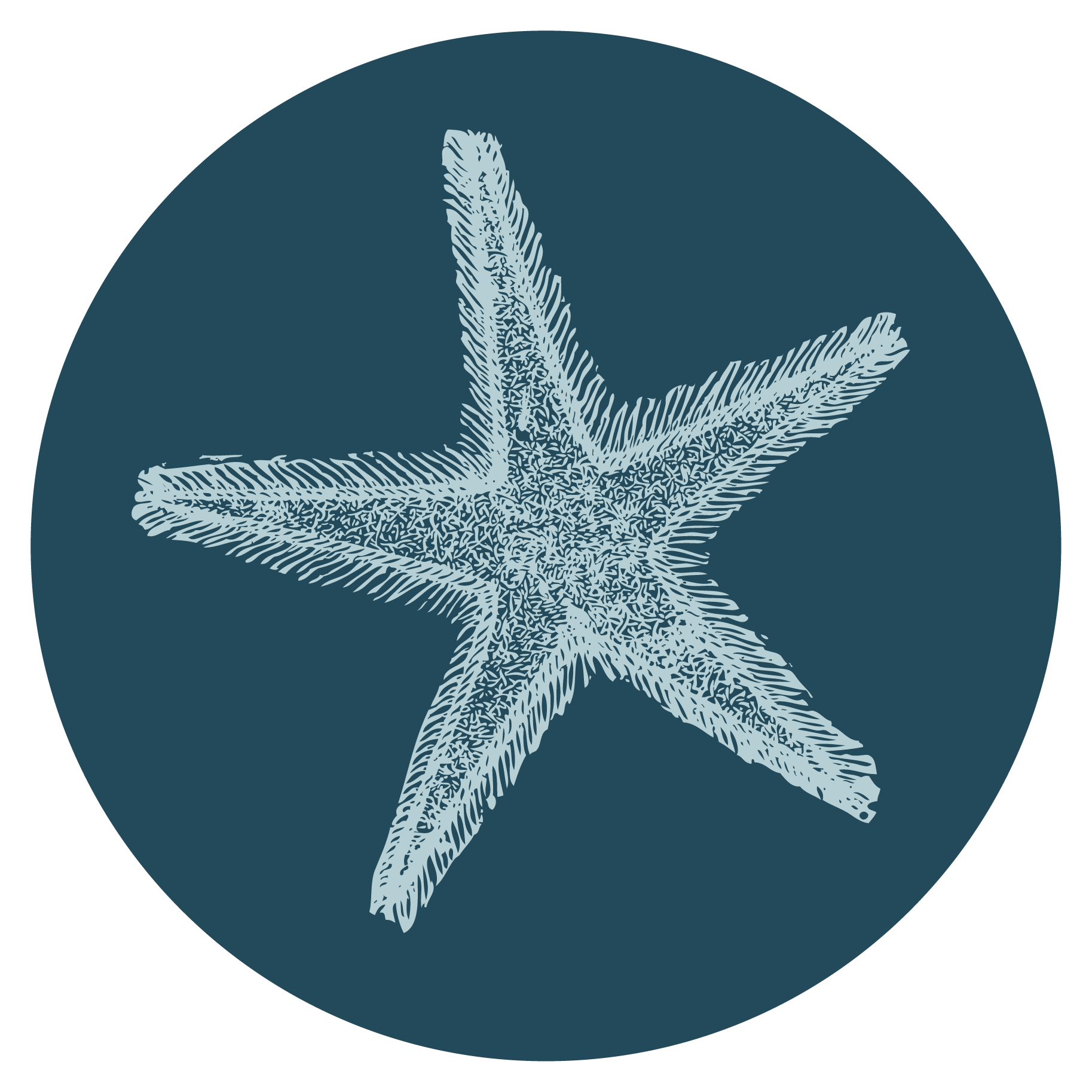 Bay and Beyond Getaways