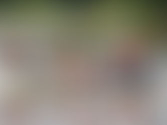 DIF entrega más de 2 mil canastas alimentarias a familias en el sur de Veracruz