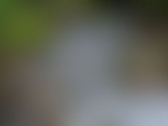 Veracruz convoca a profesionistas para fortalecer el manejo de sus áreas naturales