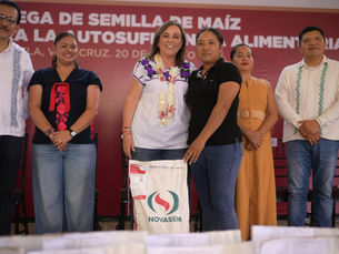 Veracruz granero de México